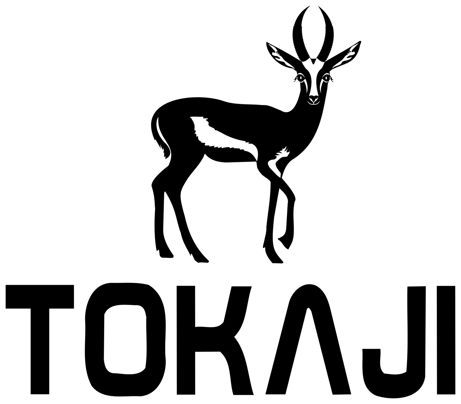 tokajisport.com